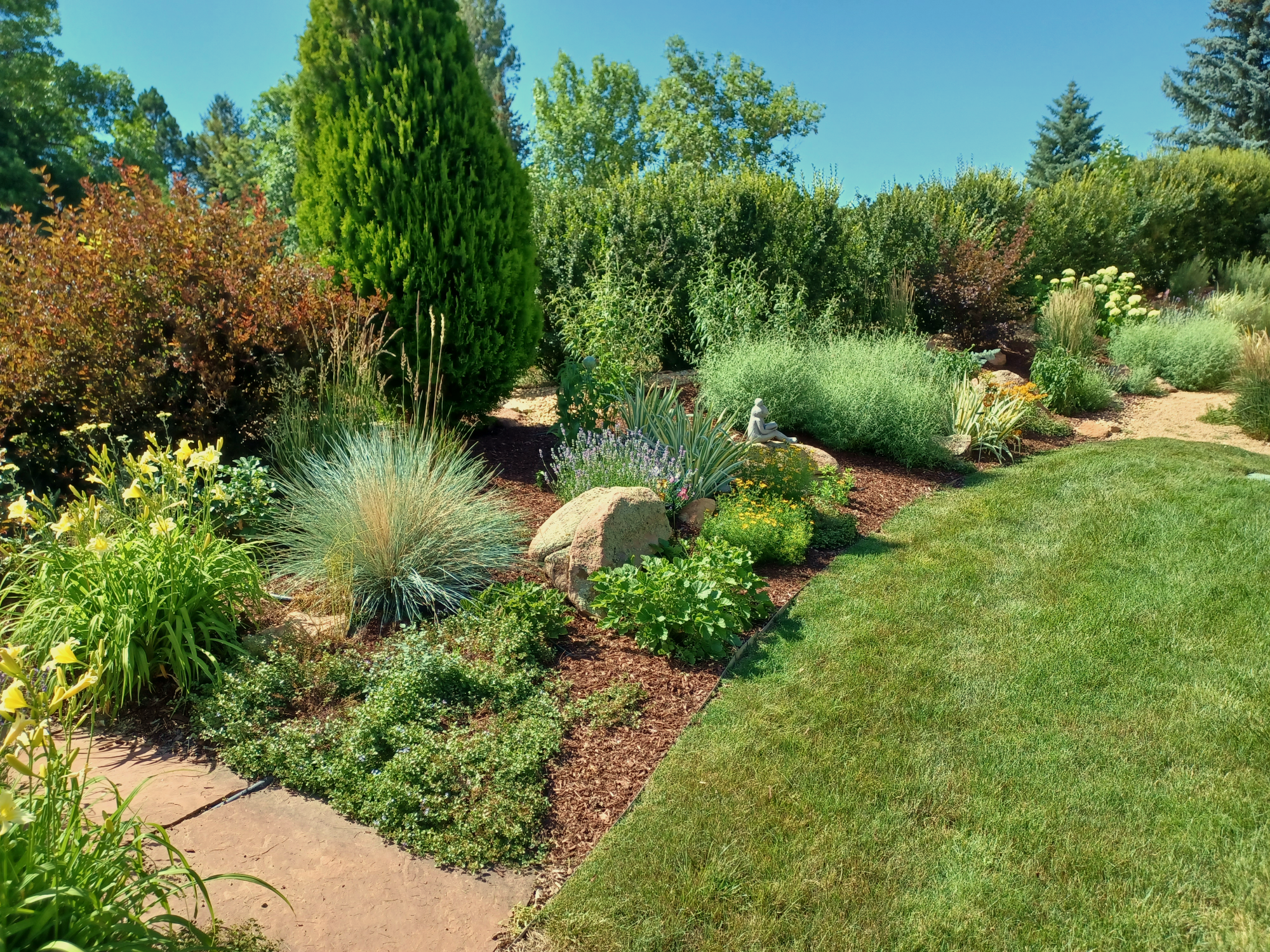 Mature xeriscape planting with mixed sun-loving perennials